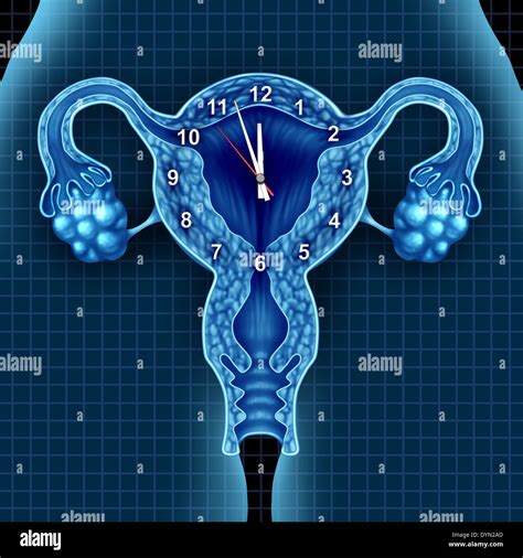 biological clock ticking women.